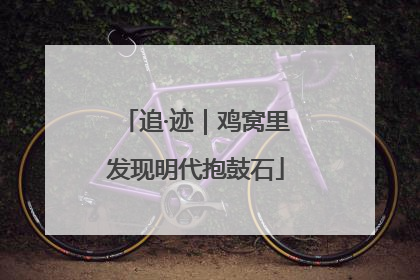 追·迹｜鸡窝里发现明代抱鼓石