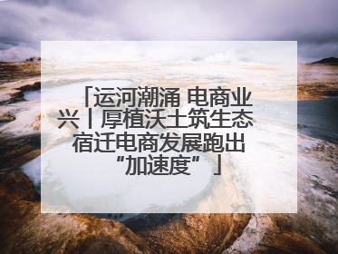 运河潮涌 电商业兴丨厚植沃土筑生态 宿迁电商发展跑出“加速度”