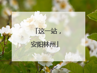这一站，安阳林州