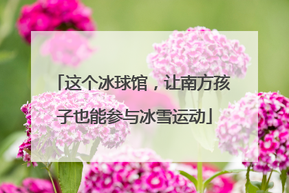这个冰球馆，让南方孩子也能参与冰雪运动