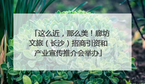 这么近，那么美！廊坊文旅（长沙）招商引资和产业宣传推介会举办