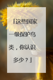 这些国家一级保护鸟类，你认识多少？