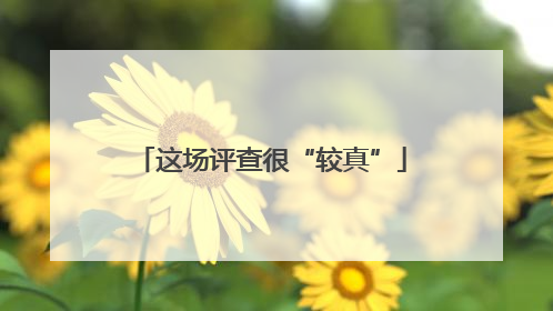 这场评查很“较真”