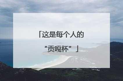 这是每个人的“贡嘎杯”