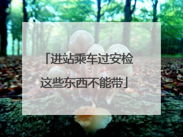 进站乘车过安检 这些东西不能带