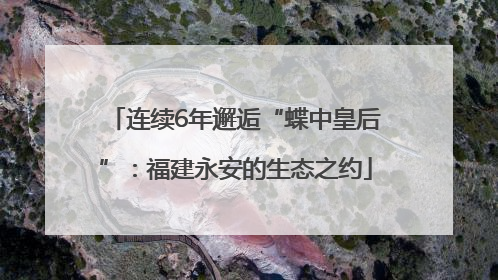 连续6年邂逅“蝶中皇后”：福建永安的生态之约