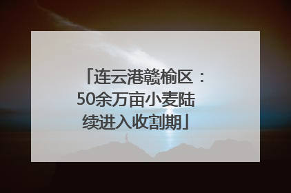 连云港赣榆区：50余万亩小麦陆续进入收割期