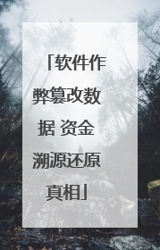软件作弊篡改数据 资金溯源还原真相