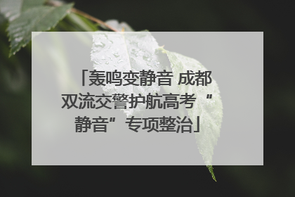 轰鸣变静音 成都双流交警护航高考“静音”专项整治