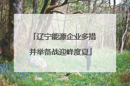 辽宁能源企业多措并举备战迎峰度夏