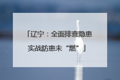 辽宁：全面排查隐患 实战防患未“燃”