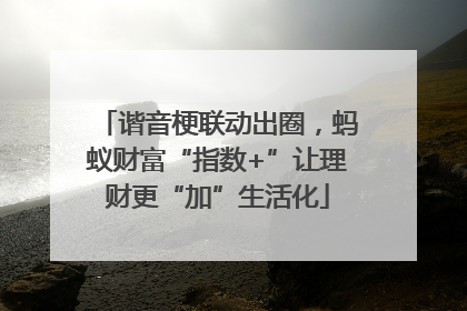 谐音梗联动出圈，蚂蚁财富“指数+”让理财更“加”生活化