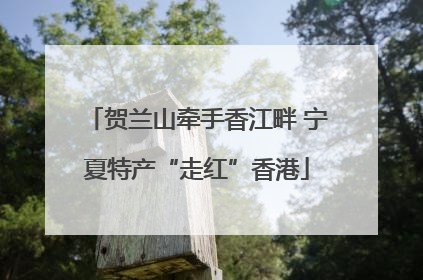 贺兰山牵手香江畔 宁夏特产“走红”香港