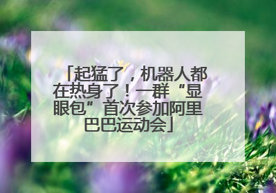 起猛了，机器人都在热身了！一群“显眼包”首次参加阿里巴巴运动会