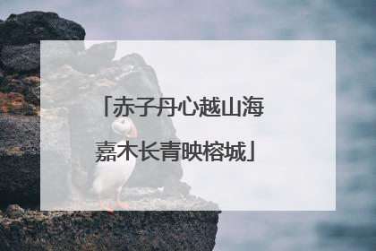 赤子丹心越山海 嘉木长青映榕城