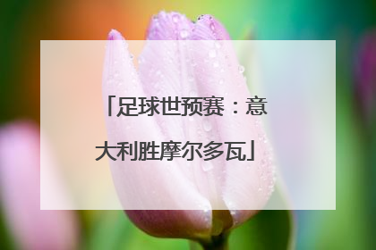 足球世预赛：意大利胜摩尔多瓦