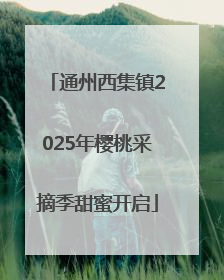 通州西集镇2025年樱桃采摘季甜蜜开启