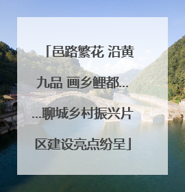 邑路繁花 沿黄九品 画乡鲤都……聊城乡村振兴片区建设亮点纷呈