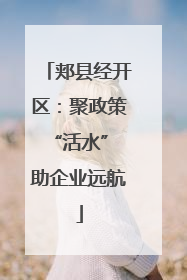 郏县经开区：聚政策“活水” 助企业远航