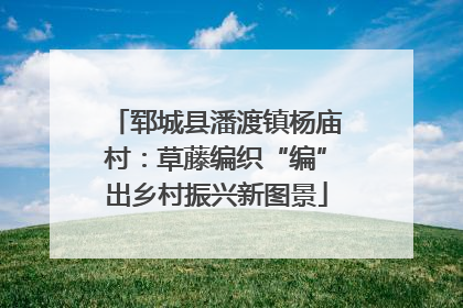 郓城县潘渡镇杨庙村：草藤编织“编”出乡村振兴新图景