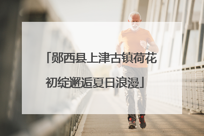 郧西县上津古镇荷花初绽邂逅夏日浪漫