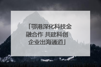 鄂港深化科技金融合作 共建科创企业出海通道