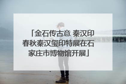 金石传古意 秦汉印春秋秦汉玺印特展在石家庄市博物馆开展
