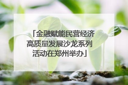 金融赋能民营经济高质量发展沙龙系列活动在郑州举办