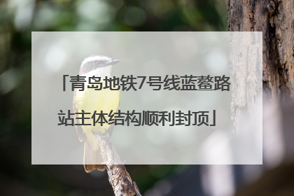青岛地铁7号线蓝鳌路站主体结构顺利封顶
