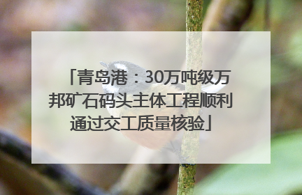 青岛港：30万吨级万邦矿石码头主体工程顺利通过交工质量核验