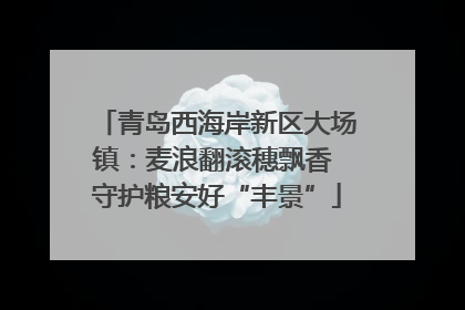 青岛西海岸新区大场镇：麦浪翻滚穗飘香 守护粮安好“丰景”