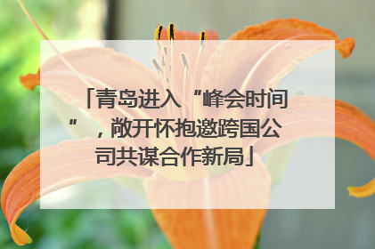青岛进入“峰会时间”，敞开怀抱邀跨国公司共谋合作新局