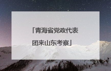 青海省党政代表团来山东考察
