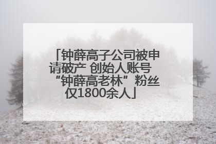 钟薛高子公司被申请破产 创始人账号“钟薛高老林”粉丝仅1800余人