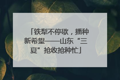 铁犁不停歇，播种新希望——山东“三夏”抢收抢种忙