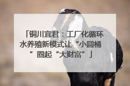 铜川宜君：工厂化循环水养殖新模式让“小圆桶”圈起“大财富”