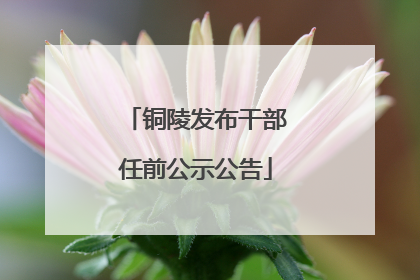 铜陵发布干部任前公示公告