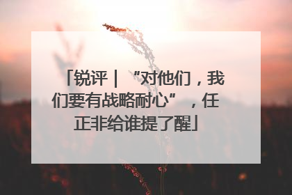 锐评｜“对他们，我们要有战略耐心”，任正非给谁提了醒