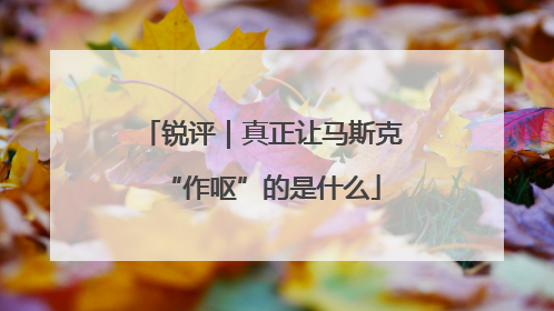 锐评｜真正让马斯克“作呕”的是什么