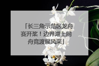 长三角示范区龙舟赛开桨！边界湖上同舟竞渡展风采