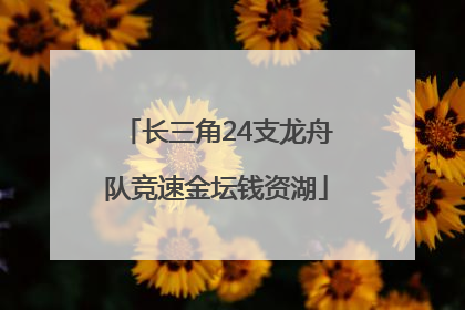 长三角24支龙舟队竞速金坛钱资湖