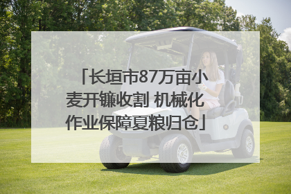 长垣市87万亩小麦开镰收割 机械化作业保障夏粮归仓