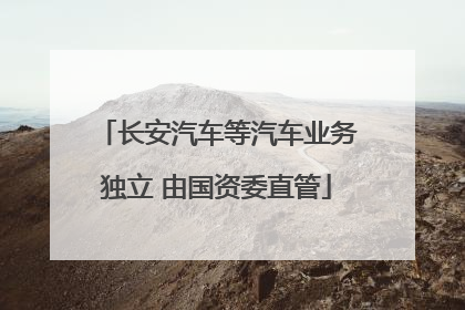 长安汽车等汽车业务独立 由国资委直管