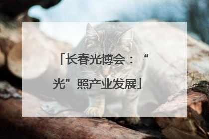 长春光博会：“光”照产业发展
