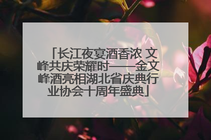 长江夜宴酒香浓 文峰共庆荣耀时——金文峰酒亮相湖北省庆典行业协会十周年盛典