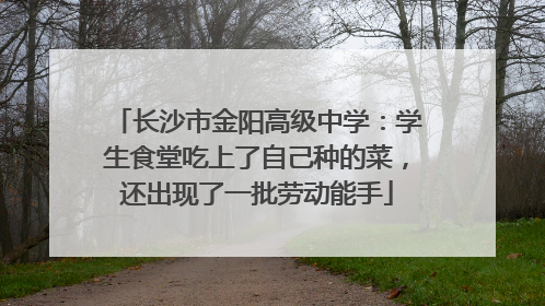 长沙市金阳高级中学：学生食堂吃上了自己种的菜，还出现了一批劳动能手