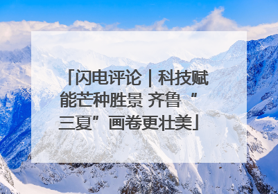 闪电评论｜科技赋能芒种胜景 齐鲁“三夏”画卷更壮美