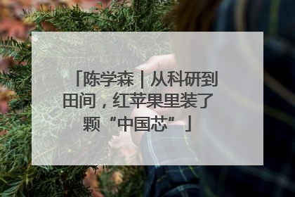 陈学森｜从科研到田间，红苹果里装了颗“中国芯”