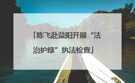 陈飞赴益阳开展“法治护绿”执法检查