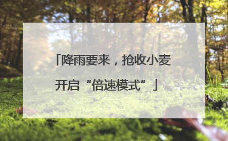 降雨要来，抢收小麦开启“倍速模式”